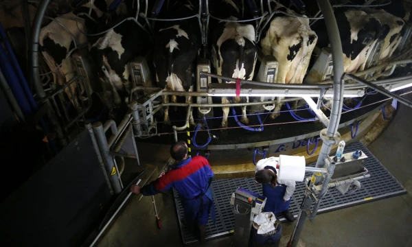 Stephane Mahe („Reuters“ / „Scanpix“) nuotr.