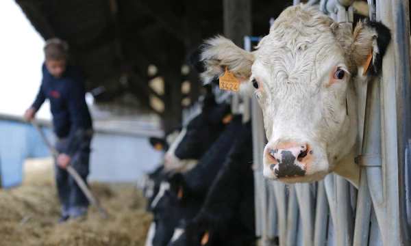 Stephane Mahe („Reuters“ / „Scanpix“) nuotr.