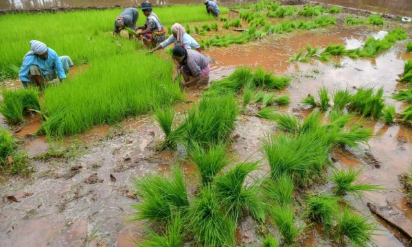 Manjunatho Kirano (AFP / „Scanpix“) nuotr.