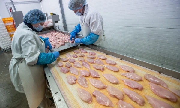 Juditos Grigelytės (VŽ) nuotr. 