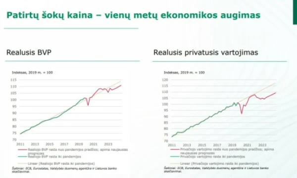 Gediminas Šimkus, Lietuvos banko valdybos pirmininkas. Juditos Grigelytės (VŽ) nuotr.
