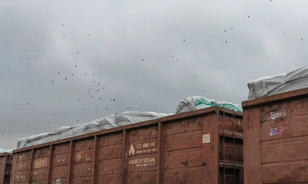 Vladimiro Ivanovo (VŽ) nuotr.