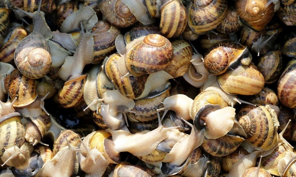 Leonhardo Foegerio („Reuters“ / „Scanpix“) nuotr.