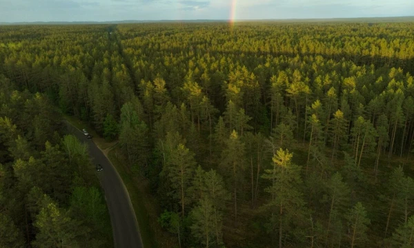 Vladimiro Ivanovo (VŽ) nuotr.