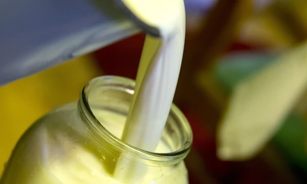 Per rugsėjo mėnesį vidutinė natūralaus pieno supirkimo kaina padidėjo 5,4 %. 2015 m. rugpjūtį ji buvo 190,8 Eur už t
Vladimiro Ivanovo (VŽ) nuotr.