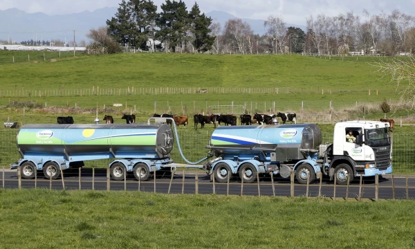 „Fonterra“ aiškina, kad praėjusių metų nuostolį smarkiai išaugino bendrovės turto nurašymai. Nigelo Marple’o („Reuters“ / „Scanpix“) nuotr.