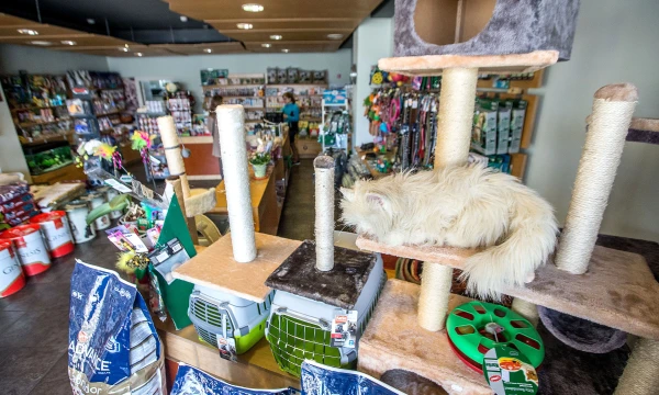 Anksčiau į vaistinę dažniausiai užsukdavo veterinarų, dabar – gyvūnais besirūpinančių šeimininkų. Juditos Grigelytės (VŽ) nuotr.