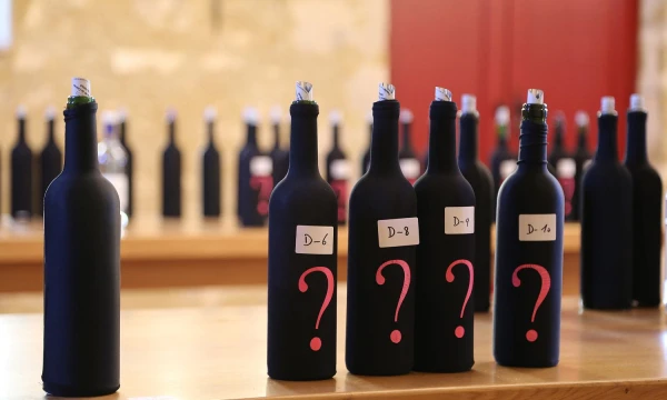 Pesako vynų degustacija Bordo vyno savaitėje. Arūno Starkaus nuotr. 