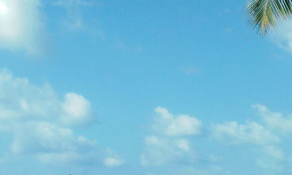 Pauliaus Čiulados (VŽ) nuotr.