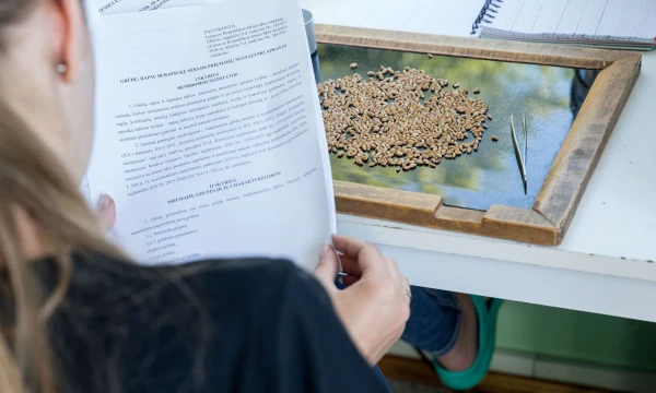 Perdirbėjams labiau nerimą kelia ne javapjūtė, o sėja. Juditos Grigelytės (VŽ) nuotr.