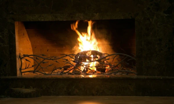 Juditos Grigelytės (VŽ) nuotr.