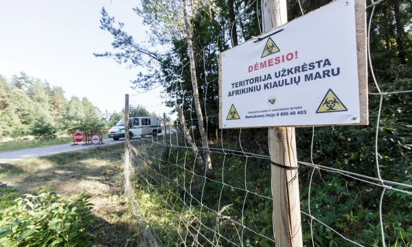 Vladimiro Ivanovo (VŽ) nuotr.