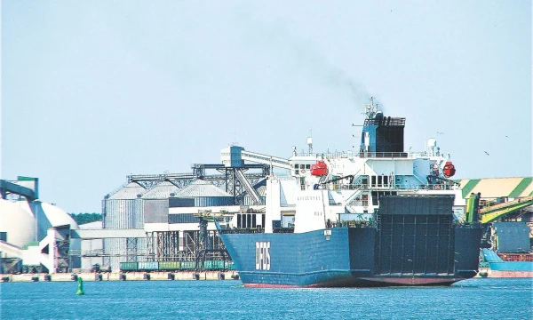 Klaipėdos valstybinis jūrų uostas. Lino Butkaus (VŽ) nuotr.