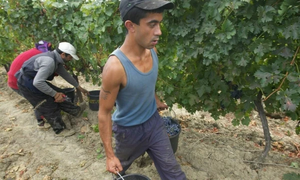 Vladimiro Ivanovo (VŽ) nuotr.