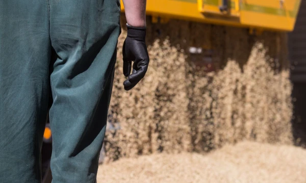 Juditos Grigelytės (VŽ) nuotr.