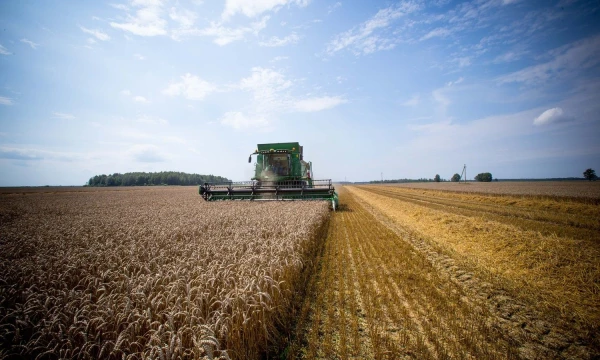 Prieš javapjūtę ūkininkai suskubo pirkti kombainus.
Vladimiro Ivanovo (VŽ) nuotr.