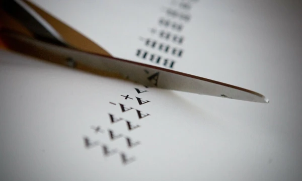 Vladimiro Ivanovo (VŽ) nuotr.