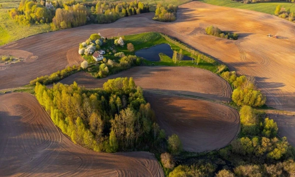 Vladimiro Ivanovo (VŽ) nuotr.