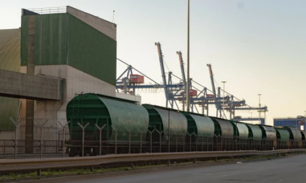 Algimanto Kalvaičio nuotr.