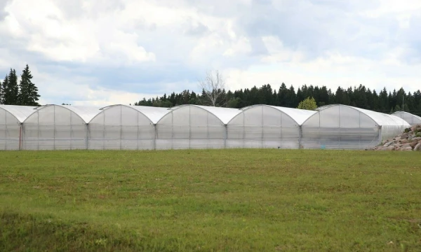 Vladimiro Ivanovo (VŽ) nuotr.