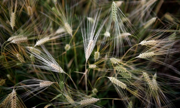 Stephane Mahe („Scanpix“ / „Reuters“) nuotr.