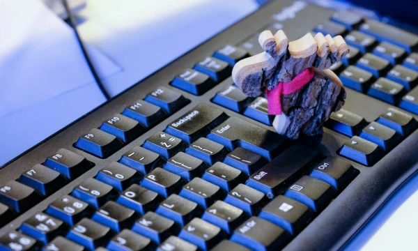 Vladimiro Ivanovo (VŽ) nuotr.