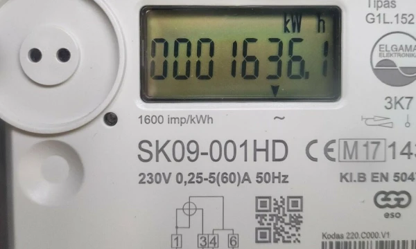 Vladimiro Ivanovo (VŽ) nuotr.