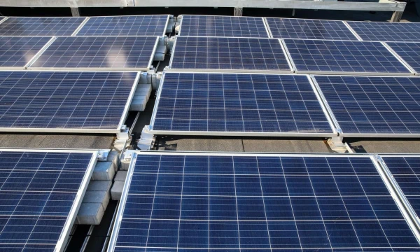 Padėti Lietuvos įmonėms efektyviai pereiti prie tvaresnių veiklos modelių ir sumažinti neigiamą poveikį aplinkai – viena iš strateginių „Swedbank“ veiklos sričių. 
