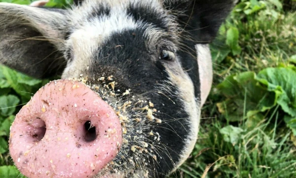 Vladimiro Ivanovo (VŽ) nuotr.