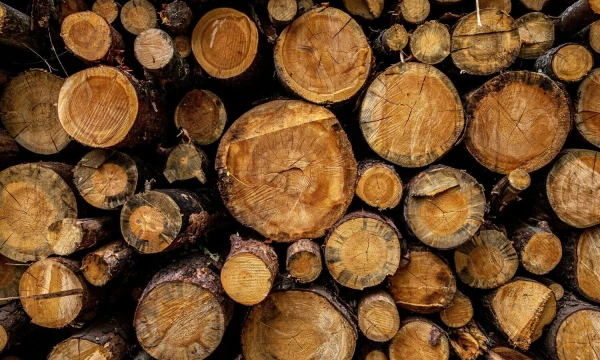 Juditos Grigelytės (VŽ) nuotr.