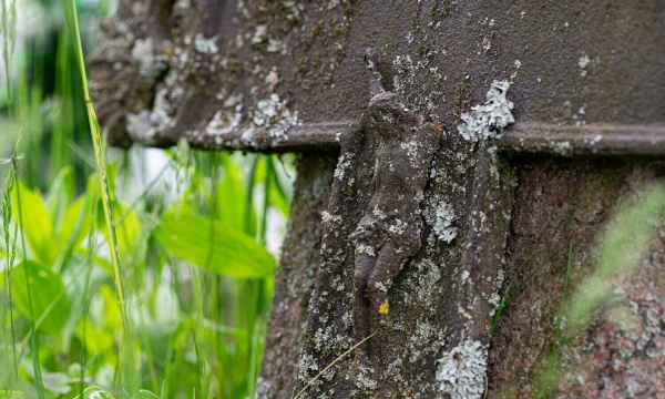 Juditos Grigelytės (VŽ) nuotr.