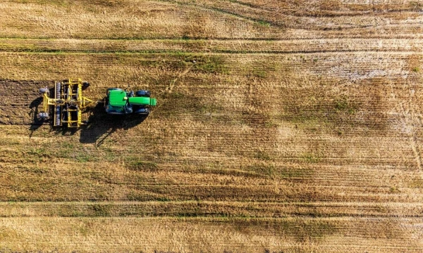 Vladimiro Ivanovo (VŽ) nuotr.