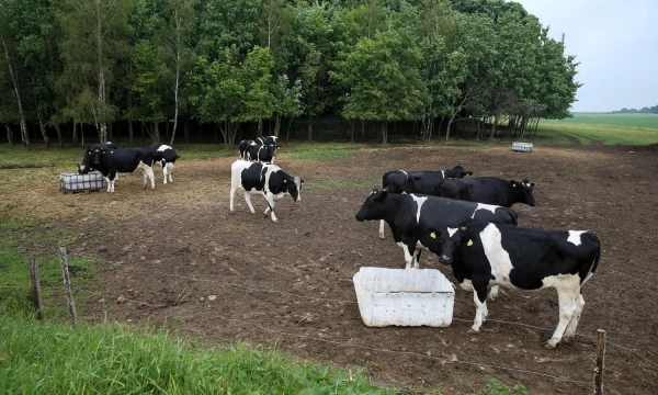  Vladimiro Ivanovo (VŽ) nuotr.