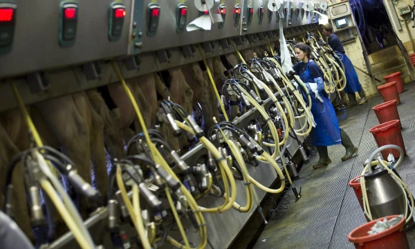 Amiro Coheno („Reuters“ / „Scanpix“) nuotr.