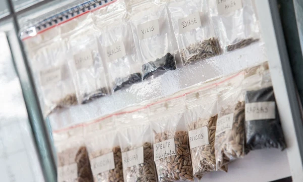 Juditos Grigelytės (VŽ) nuotr.