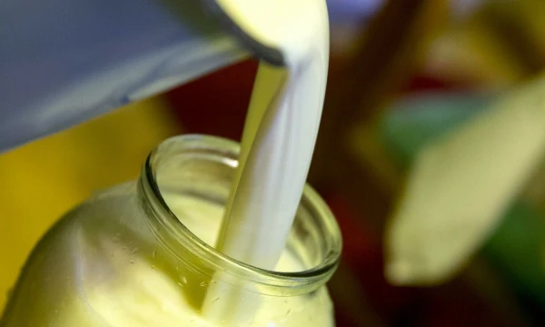 Vladimiro Ivanovo (VŽ) nuotr.