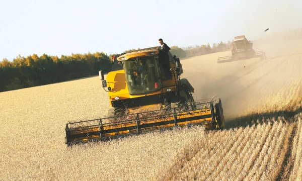 Grūdų derlius pasaulyje šiais metais bus mažesnis.
Bogdan Cristel („Scanpix“ / „Reuters“) nuotr.