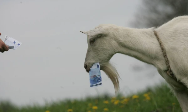 Juditos Grigelytės (VŽ) nuotr.