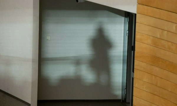 Vladimiro Ivanovo (VŽ) nuotr.