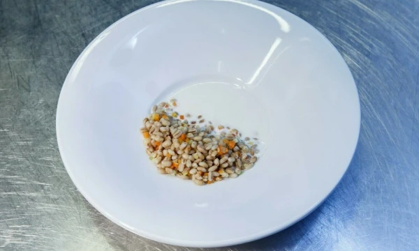 Vladimiro Ivanovo (VŽ) nuotr.