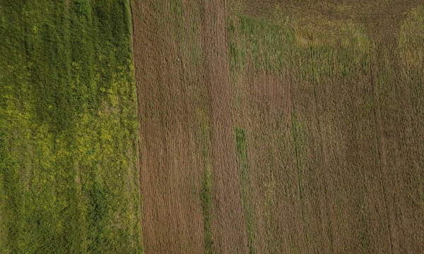 Vladimiro Ivanovo (VŽ) nuotr.