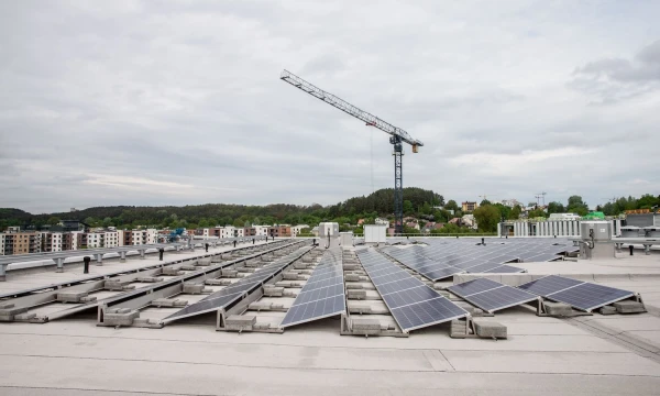 Tikrasis žaliasis postūmis 2019-aisiais įvyko saulės energetikoje. Juditos Grigelytės (VŽ) nuotr.