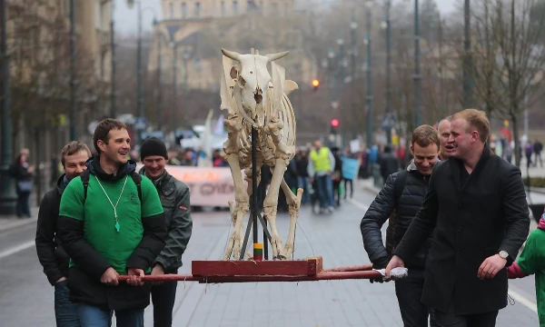 Vladimiro Ivanovo (VŽ) nuotr.