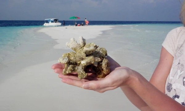 Pauliaus Čiulados (VŽ) nuotr.