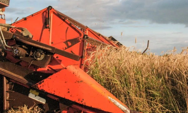 "Agrowill Group" atsiskaitė su kreditoriais ir toliaus kurs didžiausią Lietuvoje ekologiškų ūkių grupę. Vladimiro Ivanovo (VŽ) nuotr.