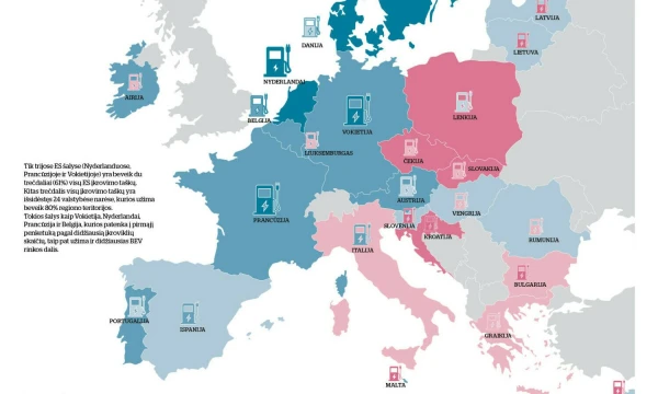 Elektromobiliai ir įkrovos stotelės. VŽ nuotr.