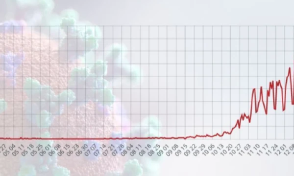 Nauj atvejų skaičius Lietuvoje. VŽ grafikas.