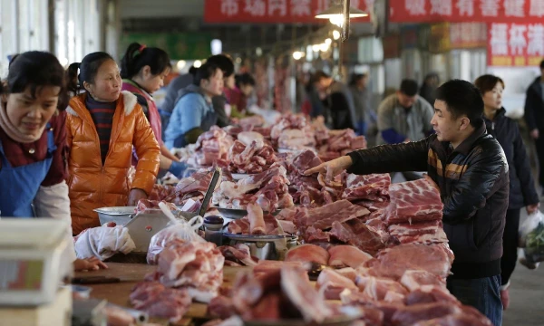 Jason Lee („Reuters“/ „Scanpix“) nuotr.