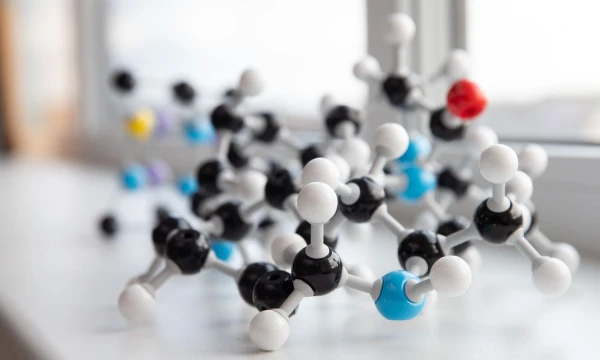 Juditos Grigelytės (VŽ) nuotr.