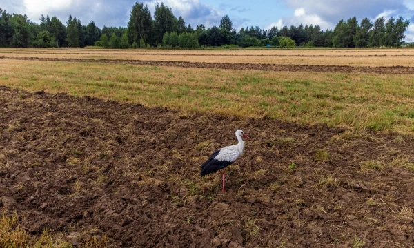 Vladimiro Ivanovo (VŽ) nuotr.